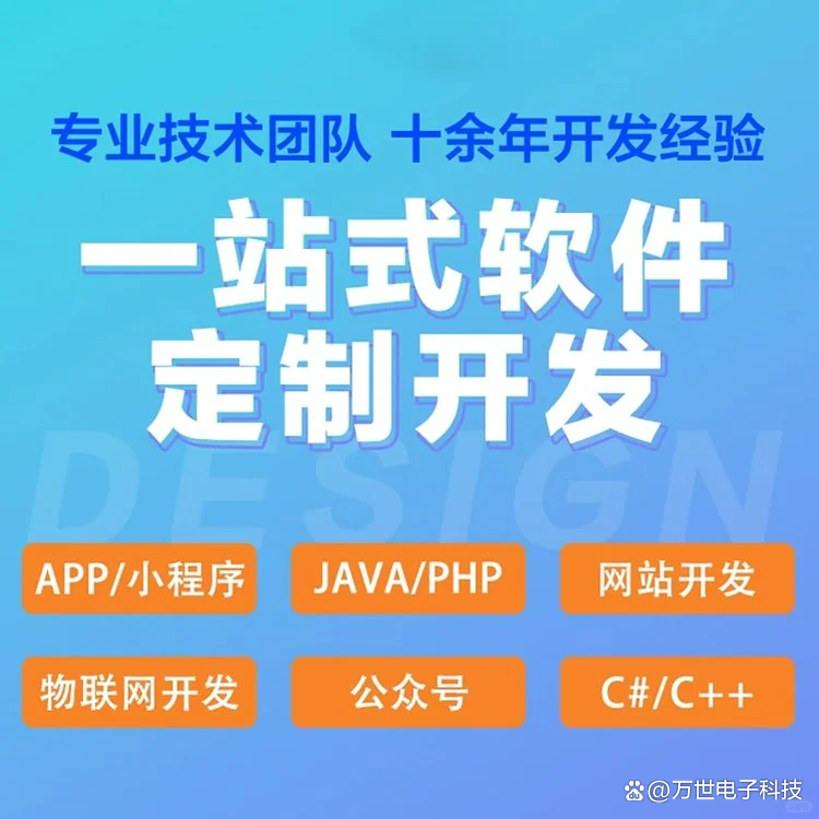 西藏软件开发